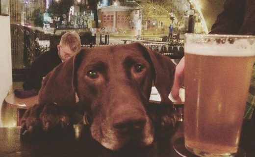 Here’s Fritz in @northbarsocial