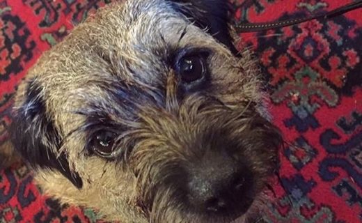Here’s Hester in the Flotterstone Inn, Pentlands – pic from Marie Winter