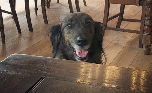 Here’s Skye at the new Black Isle bar in Inverness – pic Nicola Gilham.