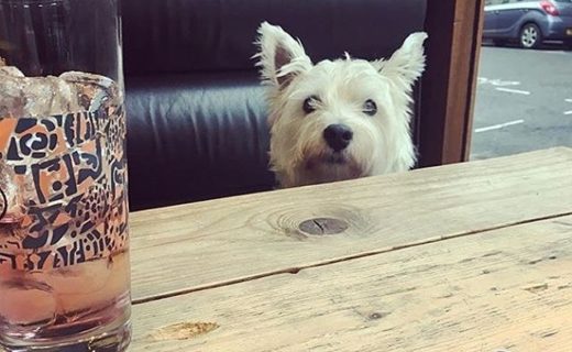 Hiya! (at Firebird, Glasgow) – pic @louise_mackay
