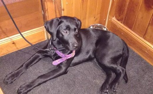Isla in her favourite pub The Boathouse in Anstruther – pic Paul Reynolds
