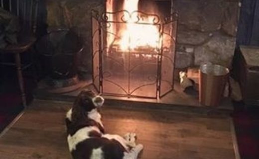 Keep Warm Stella! Stella’s at the Hillend Tavern, near Dalgety Bay, Fife – pic from Francesca Henderson