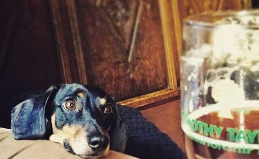 Lazin’ on a Sunday afternoon (in The Guy Fawkes Inn, York) – pic @doodlesdawg