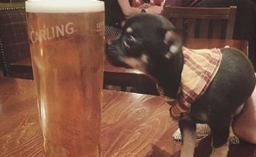“My first pint” – pic @halliepinot⠀