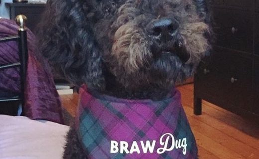 “Reuben loves his BRAW Dug bandana” from Chrissie Gardner