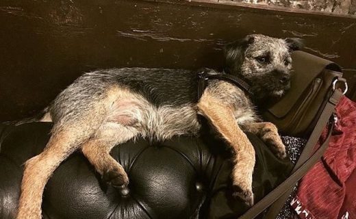 “Right neebs, you get them in and l’ll kick back here. Hurry up though!” Mac at Dram Glasgow – pic @dramglasgow