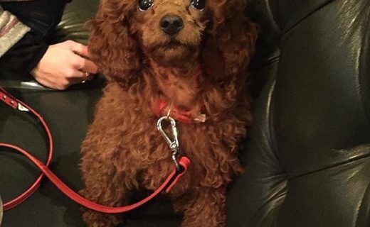 Ruby in @thesouthernbar #Edinburgh