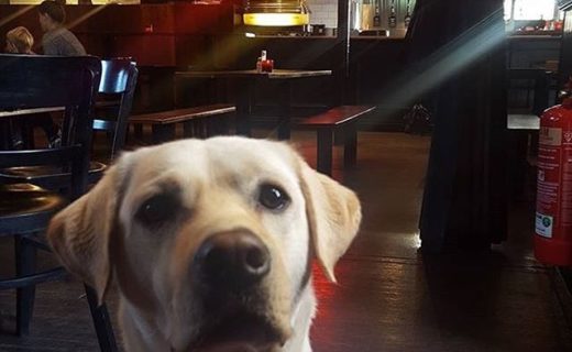 Salvador enjoying lunch at Dukes Corner, Dundee – pic @clrsmth1