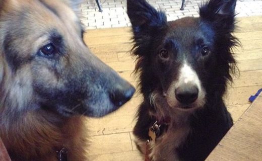 Sasha and Kai having a natter in Hectors, in Stockbridge – pic Gina Martin
