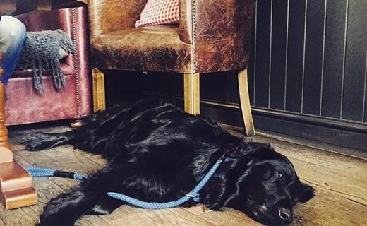 Taking it easy at @thehuntsmanbath