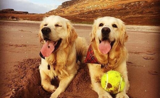 The Big Sand, Applecross. What a fun time we had, can you tell? – pic @goldenbrothers15