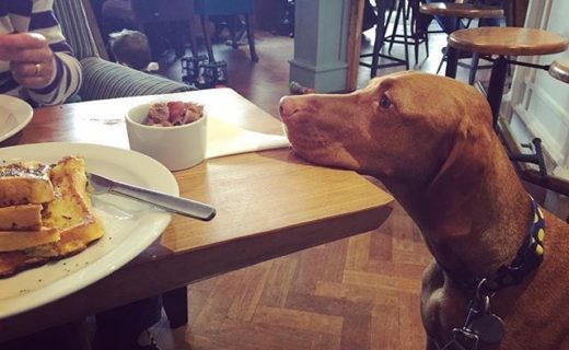 “Waiting for my sausages to cool at GRO Coffee in Irvine” from Boris B (@boristhevizsla)