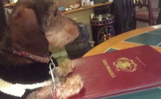 Wee Ruby ordering some scran at Beggars Belief in Portsoy – pic from Rosa Ceberio