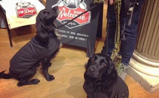 We’re at the White Stuff in George St, Edinburgh tomorrow from 10.30 onwards…