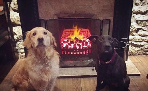 Best buds keeping warm at the Riccarton Inn – pic @punshhh⠀