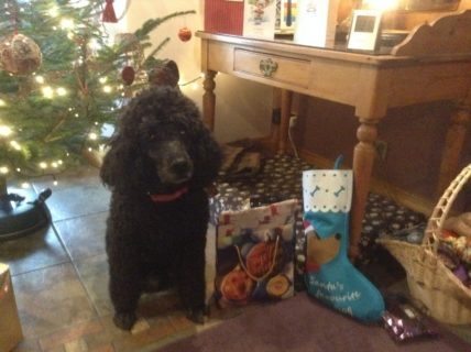 Mitzi from Glencarse