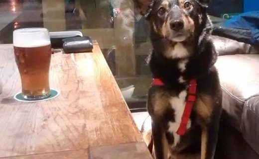 Here’s Moray at Mambo’s in Aviemore – pic from Tim Hall