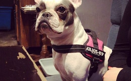 Matilda enjoying the Hillhead Bookclub in Glasgow – pic Chloe Martin
