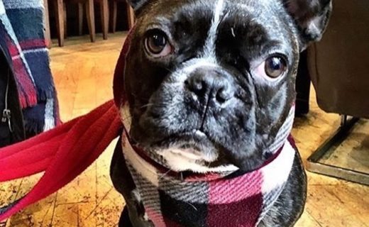 Stanley Dug in Treacle, Edinburgh – pic from Lizzie Reid