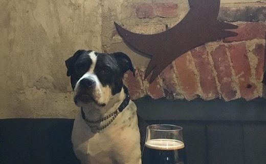 “This is Matimo, he’s a stout guardian” – pic @brewdoghelsinki⠀