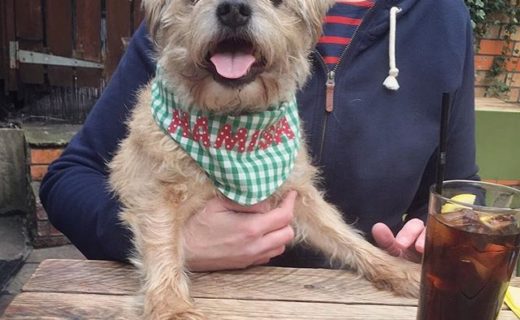 Wee Hamish in Brel bar, Glasgow – pic ‪@LynnieYankee