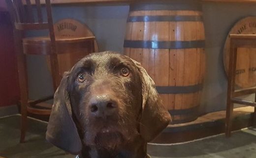 “What do you mean it’s my round?” Bruar at the Mash Tun, Aberlour – pic from Gavin Belton