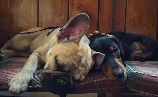 ? Shhh! – pic @pablotheminisausage in Just Beer, Newark on Trent