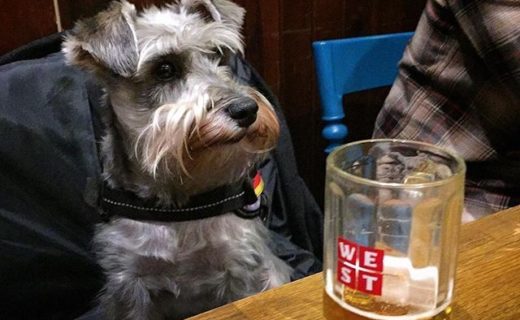 Aye, just kicking back in the Brel in Glesga, pal – pic @ceegasaurus