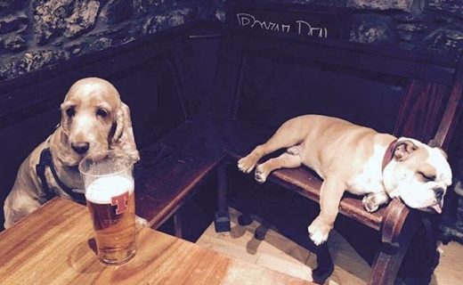 Aye, one of those nights at The Royal Hotel in Comrie – pic from Sharonne Bansal