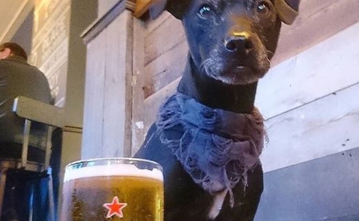 Bob at The Crown in Caversham – pic @itsme_bob