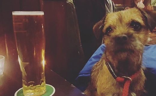 Friday night pint in Leith – pic @andyboy243⠀