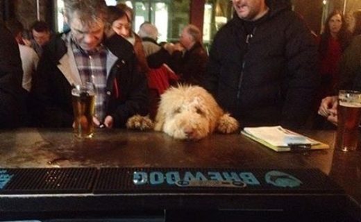 Hello? I’mmmmm waiting! – pic @_laurawood1_