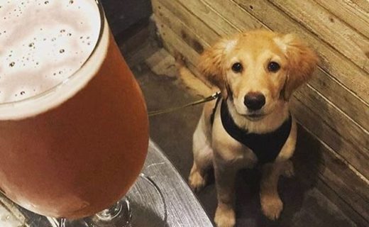 “Out for drinks for my mums birthday at St Andrews Brewing co.” – pic @levithescottishgolden
