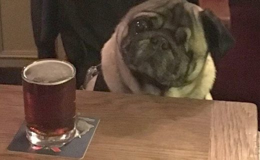Repost: @nellofolddrurycoventgarden: “Proud to be part of @dugsnpubs and so is Marty #dogfriendly