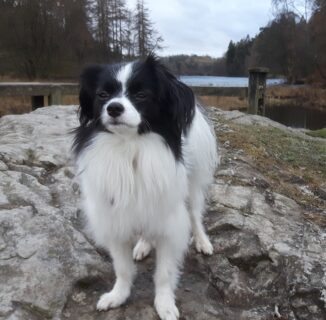 Roxy from Falkirk