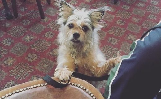 Sammi Dug at the Golden Rule, Edinburgh – pic @mvrbchd1⠀