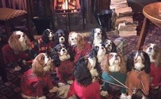 The Cramond Inn, Edinburgh – as many dugs as possible welcome – pic from Dave Lawson