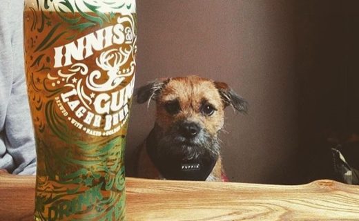 Big pint. Wee Dug. Ruby the BT at The Caley Sample Room, Edinburgh – pic @elizabethroutledge⠀
