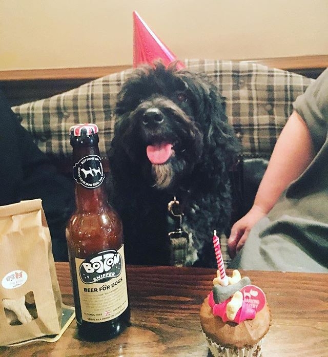 "Celebrating Brian's 4th birthday with dog beer and cake at The Hampton