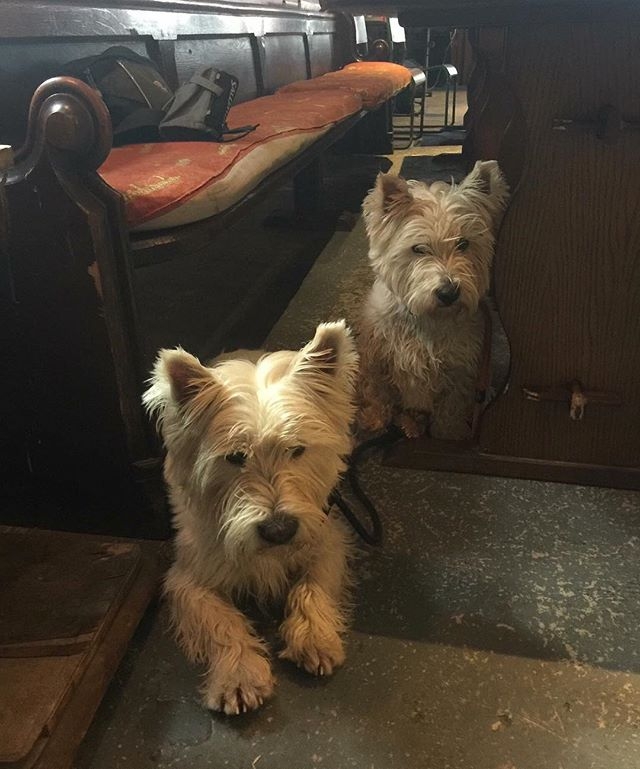 Dog Friendly Pubs In West Ayton Dog Friendly Pubs In West Ayton