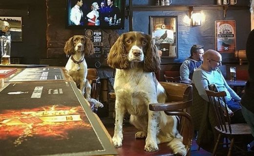 Here’s Stella and Button in The Hillend Tavern – pic Laura Spacey