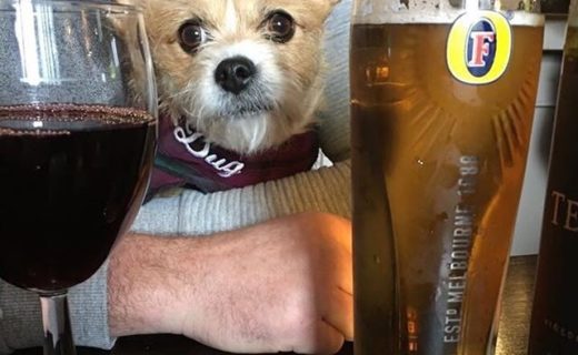 Here’s Wee dug Bella enjoying the Fireside Bar @ Drimsynie Estate – pic from Jack Duffy