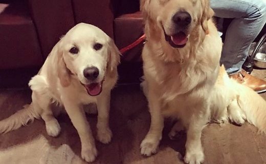 “Saturday night in The Raeburn in Stockbridge” – pic @thegolden_bailey⠀