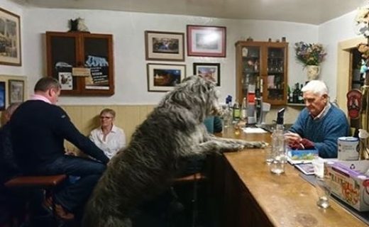 Big Dug Guthrie getting the round in at the Fiddichside Inn – pic from Alastair Combe
