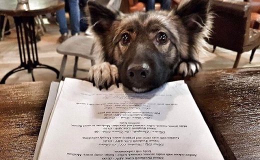 Alright Pal. Just looking to order some food likes (at The Craftsman Aberdeen) – pic @TheCraftsmanAbz