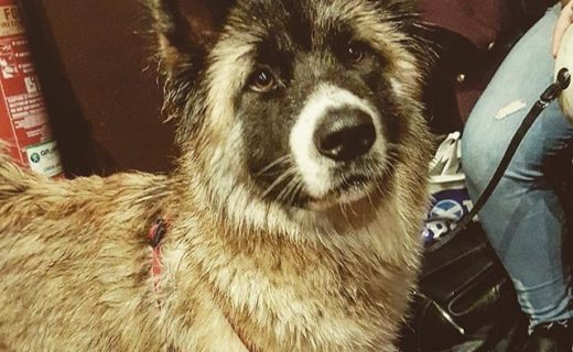 Here’s Kiera in The Holyrood 9A.