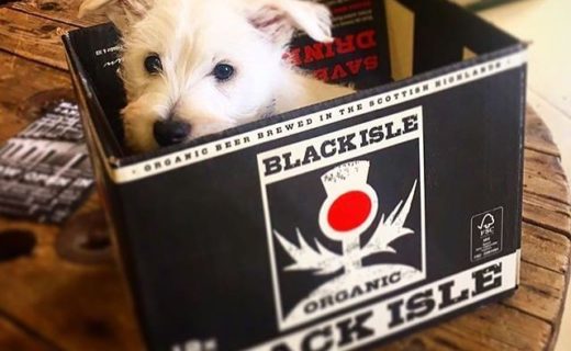 “Look who came to visit today! 12 week old WestIe pup named Teddy 🐶” – pic @blackislebrewery⠀