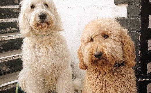 Here’s @cupardoodle and his cousin out at The Lane Bar, Glasgow – pic @thelanebarashtonlane