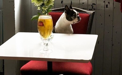 “Looks like Janet has been stood up at the pub” – pic @elhopps⠀