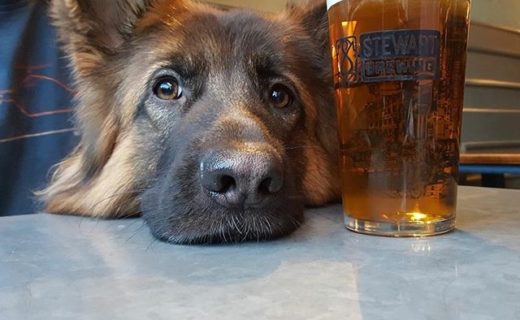 Azzi was not impressed when she found out it was her round (again) at the Auld Hoose, Edinburgh – pic from Rob Ward